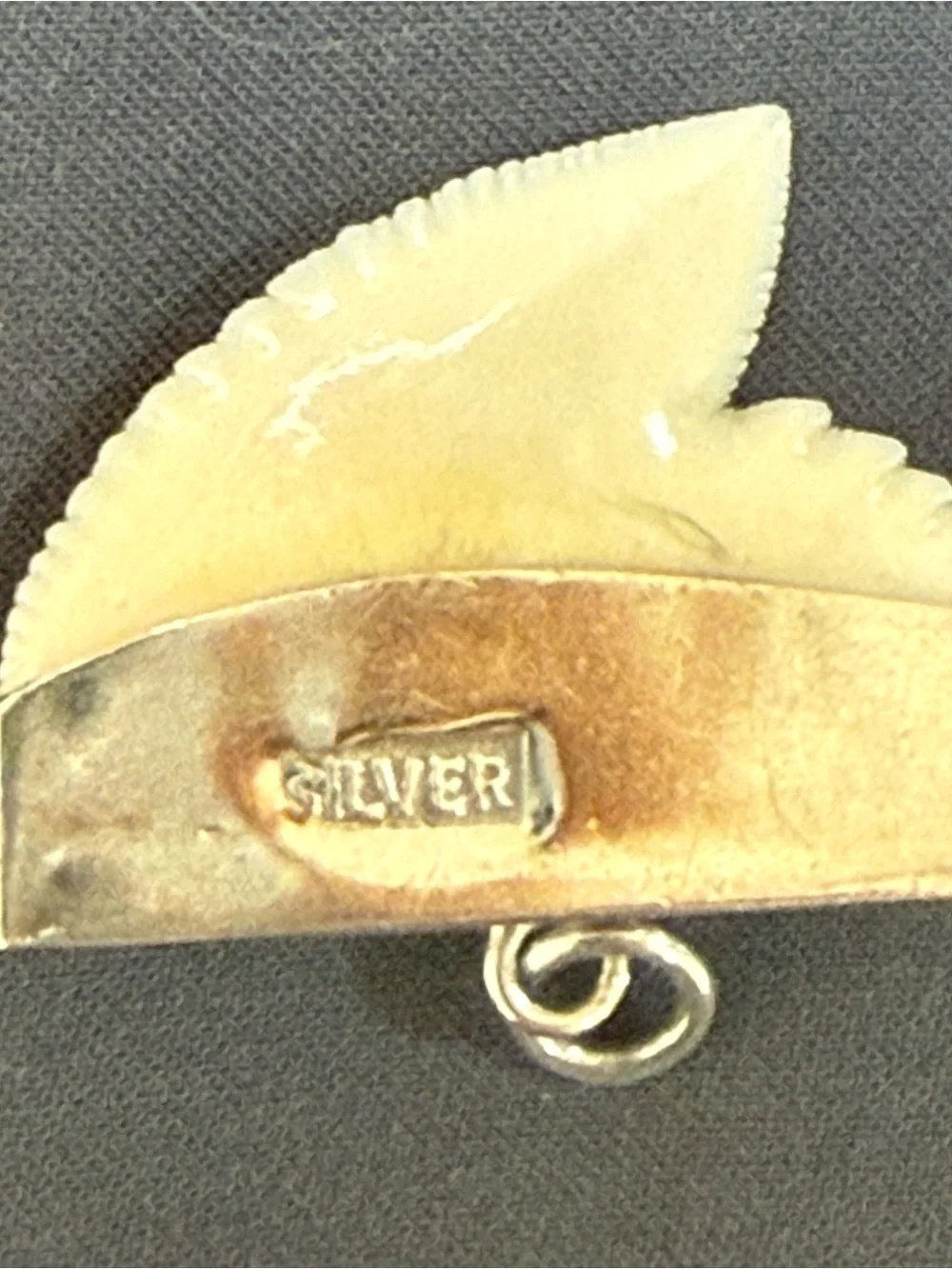 Vintage Silver Capped Shark Tooth Pendant Charm - Hallmarked